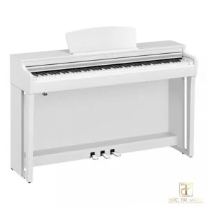 Nhạc Cụ Đức Trí – Công Ty TNHH Âm Nhạc Đức Trí