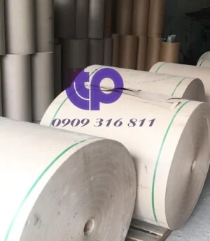 Chi Nhánh Công Ty TNHH Phát Triển TTP