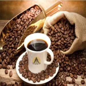 Cà Phê Võ Hùng – Công Ty TNHH SX – TM – DV Cà Phê Võ Hùng