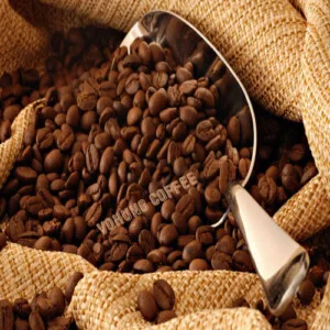 Cà Phê Võ Hùng – Công Ty TNHH SX – TM – DV Cà Phê Võ Hùng