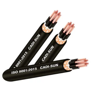Dây Cáp Điện Chung Anh Phát – Công Ty Cổ Phần Dây Và Cáp Điện Chung Anh Phát