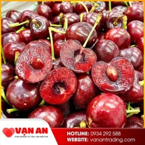 Tổng Kho Trái Cây Nhập Khẩu – Công Ty Cổ Phần Vạn An Trading