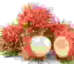 Công Ty TNHH Chế Biến Trái Cây Yasaka