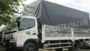 Công Ty TNHH Thương Mại Dịch Vụ Du Lịch Vận Tải Kim Thành Phát