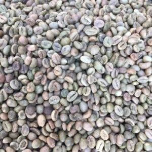Dong Duong Food – Công Ty Cổ Phần Sản Xuất Đông Dương