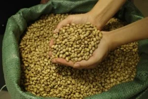 La Coffee Roasters – Công Ty TNHH Cà Phê Sơn Dương