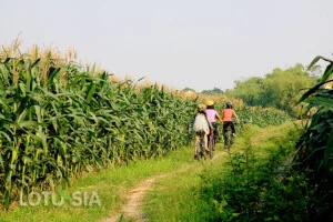 Công Ty TNHH Du Lịch LOTUSSIA