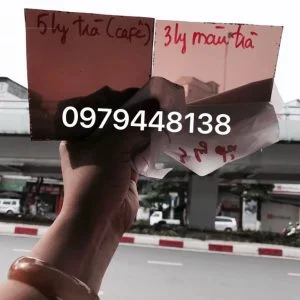 Công Ty TNHH Phát Triển Thương Mại Và Dịch Vụ Thanh Huyền