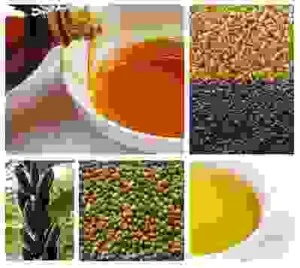 Công Ty Cổ Phần Nguyên Liệu Thực Phẩm Monova