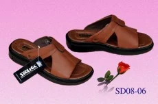 Công Ty Cổ Phần Da Giầy Và Phát Triển Hải Phòng