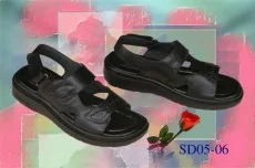 Công Ty Cổ Phần Da Giầy Và Phát Triển Hải Phòng