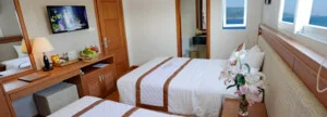 Khách Sạn DENDRO – Công Ty TNHH Thái Hòa Phú
