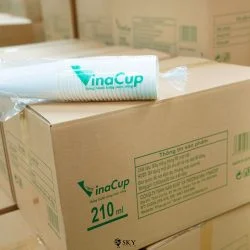 Ly Giấy Vinacup – Công Ty TNHH Sản Xuất Và Thương Mại Vinacup