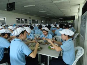 Suất Ăn Công Nghiệp Gocovina – Công Ty TNHH Thương Mại Và Dịch Vụ Gô Co Vi Na