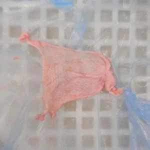 Thiên Bút Food – Công Ty TNHH Sản Xuất Thương Mại Dịch Vụ Thiên Bút