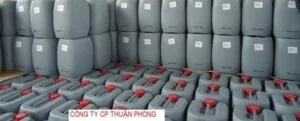 Thuận Phong – Công Ty CP Sản Xuất Và Thương Mại Thuận Phong