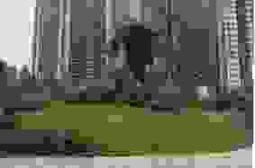 Công Ty TNHH Cảnh Quan Trịnh Thập