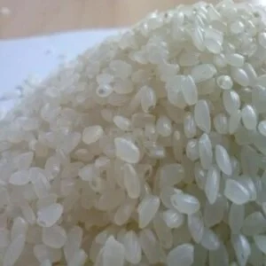 Gạo Quốc Tế Vũ Phát – Công Ty TNHH Quốc Tế Vũ Phát
