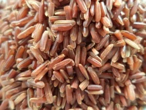 Phúc An Food – Công Ty TNHH Lương Thực Thực Phẩm Phúc An