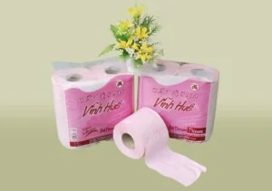 Công Ty Cổ Phần Giấy Vĩnh Huê