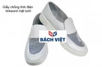 Công Ty TNHH Quốc Tế Bách Việt – ESD