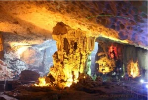 Công Ty TNHH Du Lịch Và Di Trú AHU