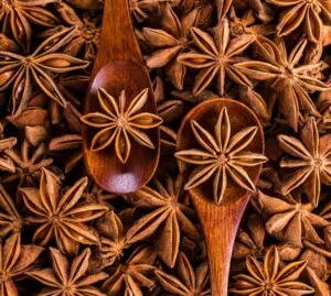 HTX Chế Biến Nông Sản Hữu Cơ Lạng Sơn
