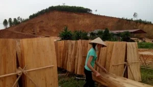 Xưởng Gỗ Ao Cạn Yên Thế Bắc Giang
