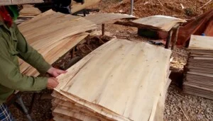 Xưởng Gỗ Ao Cạn Yên Thế Bắc Giang