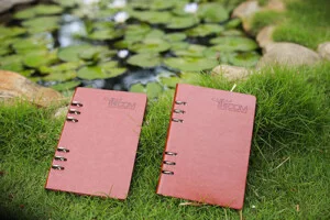 Công Ty Cổ Phần Đầu Tư Và Phát Triển Thương Hiệu Nhật Minh