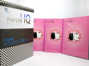 Công Ty TNHH Tiến Vinh Hoa