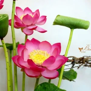 Hoa đất sét Bình Tiên Clay flower