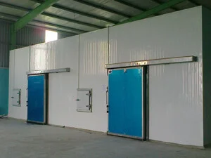 Kho Lạnh Thái Ngọc Tuấn – Công Ty CP Điện Lạnh Công Nghiệp Thái Ngọc Tuấn