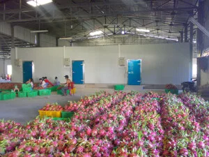 Kho Lạnh Thái Ngọc Tuấn – Công Ty CP Điện Lạnh Công Nghiệp Thái Ngọc Tuấn