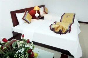 Công Ty TNHH Seha Việt Nam