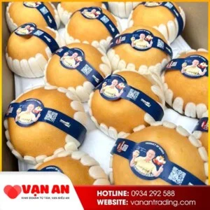 Tổng Kho Trái Cây Nhập Khẩu – Công Ty Cổ Phần Vạn An Trading