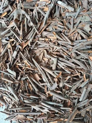 Nông Sản Quế Tiến Hồng – Công Ty TNNH Quế Tiến Hồng