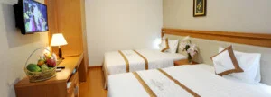 Khách Sạn DENDRO – Công Ty TNHH Thái Hòa Phú