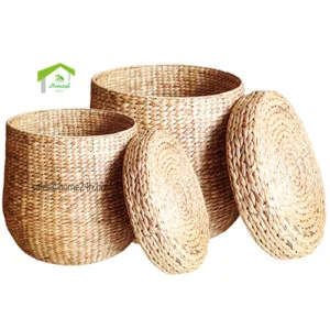 Lục Bình Mỹ Nghệ Home24H- Công Ty TNHH Home24h