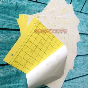 Công Ty Cổ Phần Tôn Kin Hà Nội