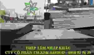Thép SAVICO – Công Ty CP Thương Mại Xuất Nhập Khẩu SAVICO