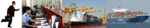 Công Ty TNHH Quốc Tế Yên Chi