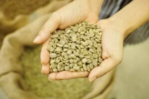 La Coffee Roasters – Công Ty TNHH Cà Phê Sơn Dương
