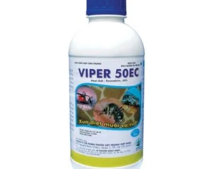 Doanh Nghiệp Tư Nhân Hoa Đất Việt