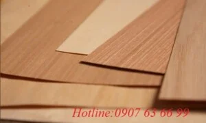 Công Ty TNHH Xuất Nhập Khẩu V&P Việt Phát