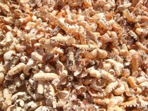 Công Ty TNHH Sản Xuất Và Thương Mại Nhân Nguyệt