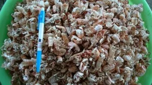 Công Ty TNHH Sản Xuất Và Thương Mại Nhân Nguyệt