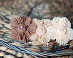 Cơ Sở Vĩnh Thuận