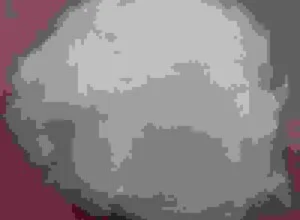 Công Ty CP Hóa Dầu Và Xơ Sợi Việt Nam