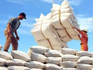 Hợp Tác Xã Lương Thực Thái Hùng